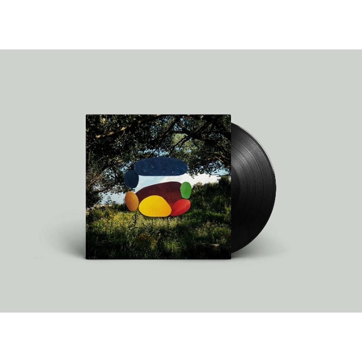 Time Drifts [LP import]