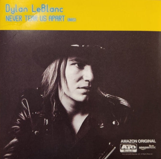 Never Tear Us Apart B/W Wild Horses [7" LP]