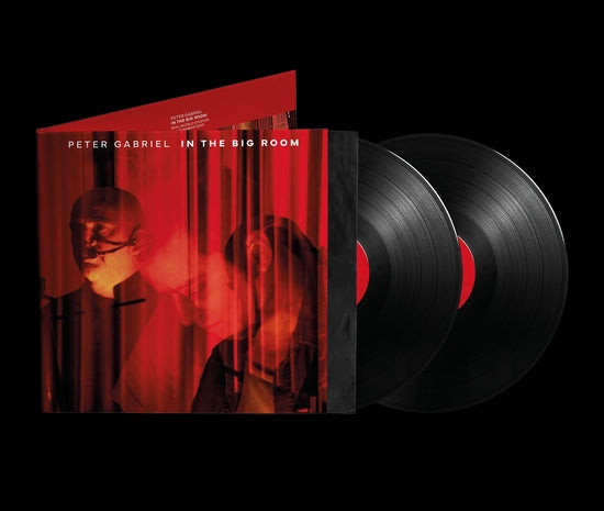 In The Big Room [2LP] (Import)