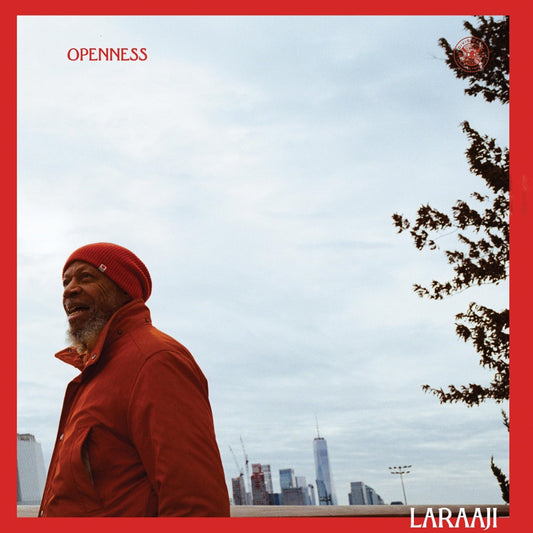 Laraaji – Openness [2LP] cover art