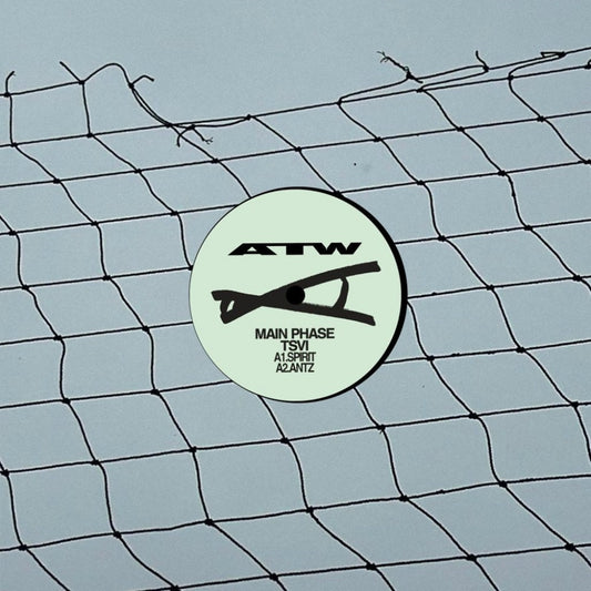 Swarm [12"]