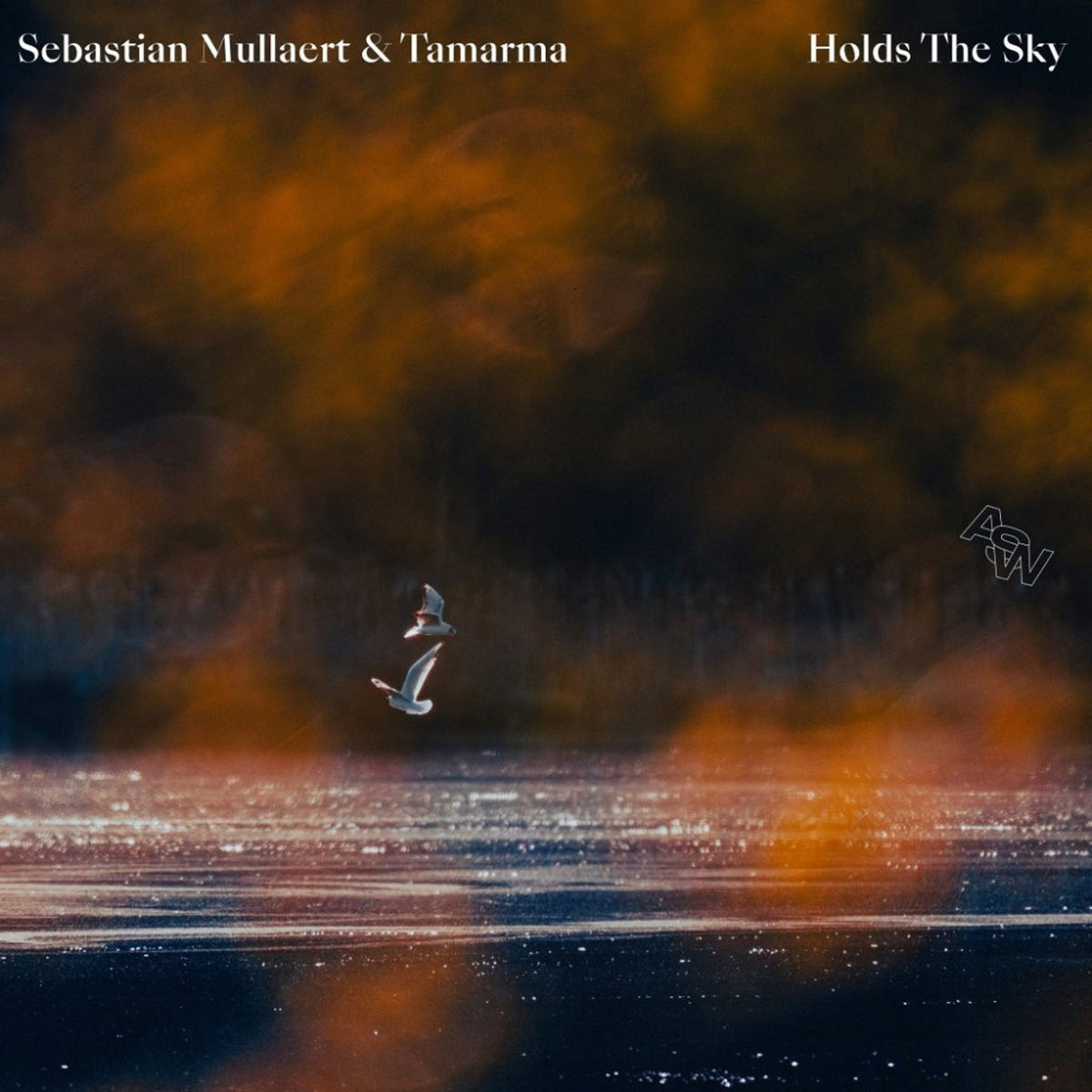 Holds The Sky [LP]