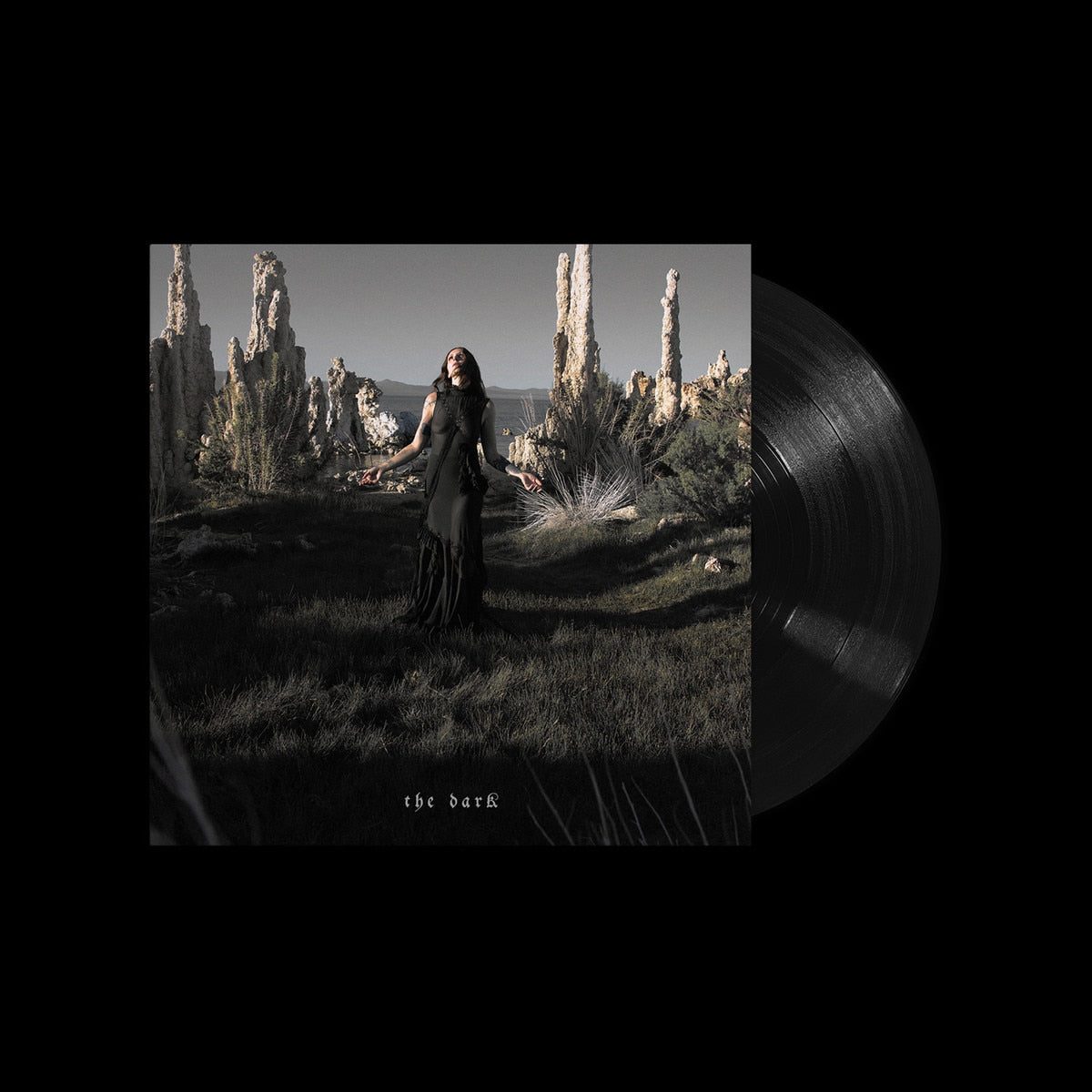 The Dark [LP]