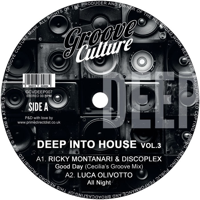 Deep Into House Vol. 3 [12" Vinyl]