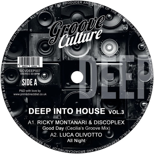 Deep Into House Vol. 3 [12" Vinyl]