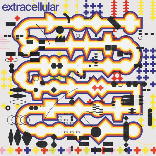 Extracellular [LP]