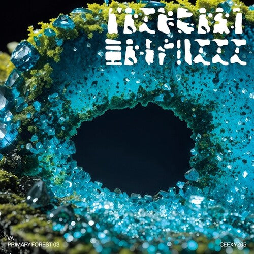 Primary Forest 03 [LP]
