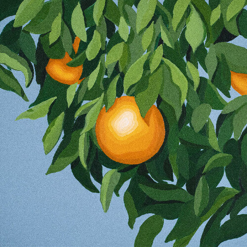 For The First Time Again [LP]