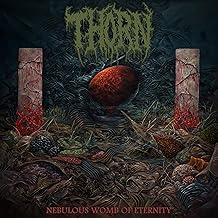 Nebulous Womb Of Eternity [CD]