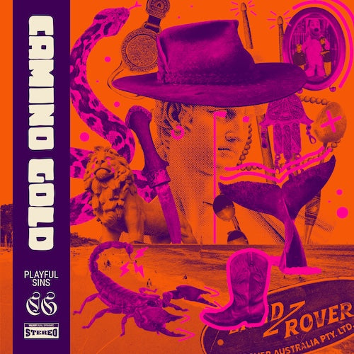 Playful Sins [LP] (import)