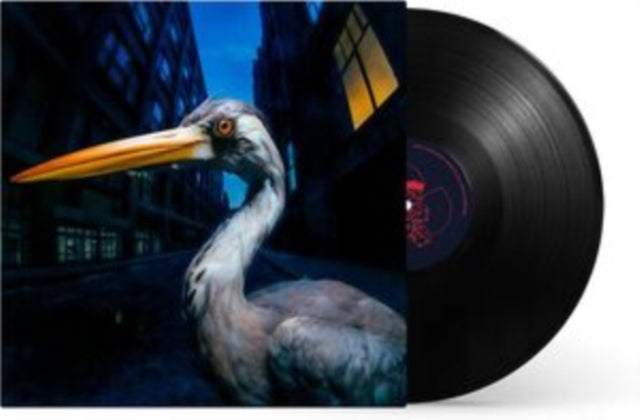 Decoding Birdsong [LP Import]