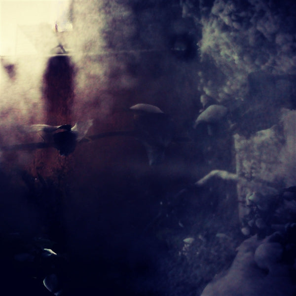 Whispers of Danger [LP]