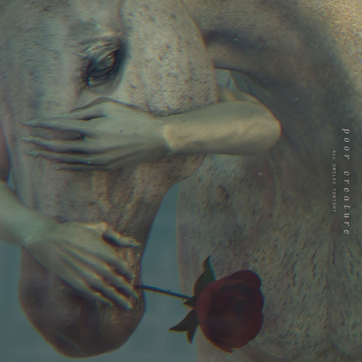 All Smiles Tonight [LP]