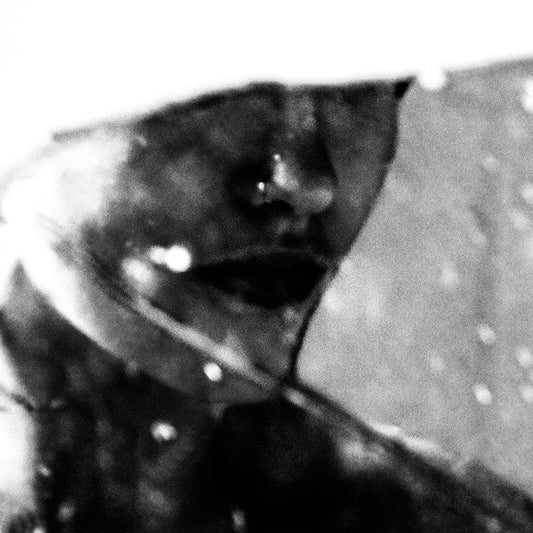 Leavings [CD]