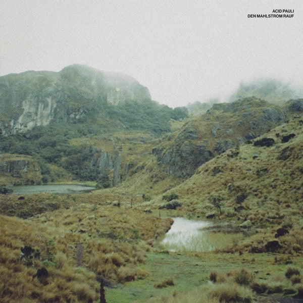 Den Mahlstrom Rauf [12" Vinyl]