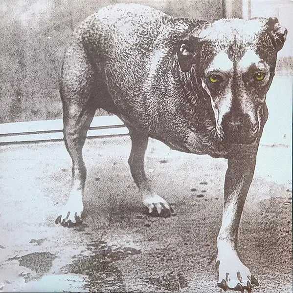 Alice in Chains - Alice In Chains (aka - 3 legged dog) [Vinyl]