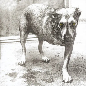 Alice in Chains — Alice in Chains [CD] — cover artwork