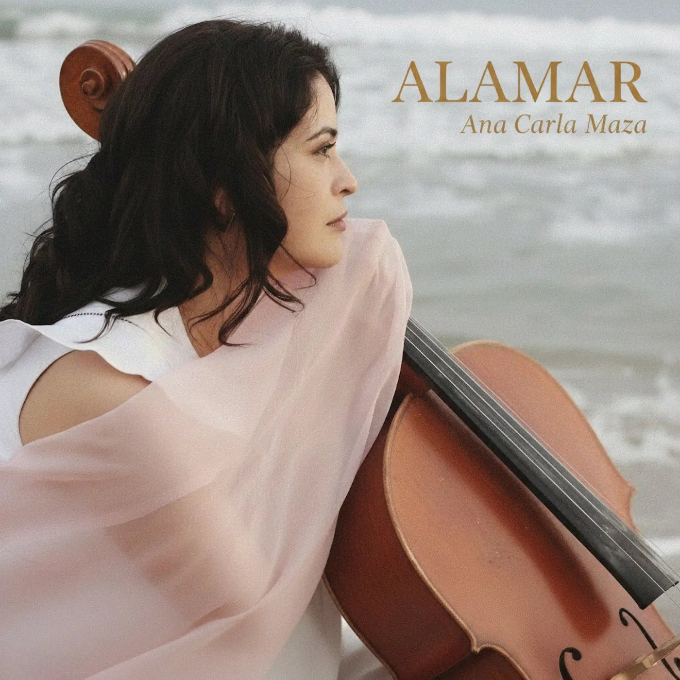 Ana Carla Maza - Alamar [LP]