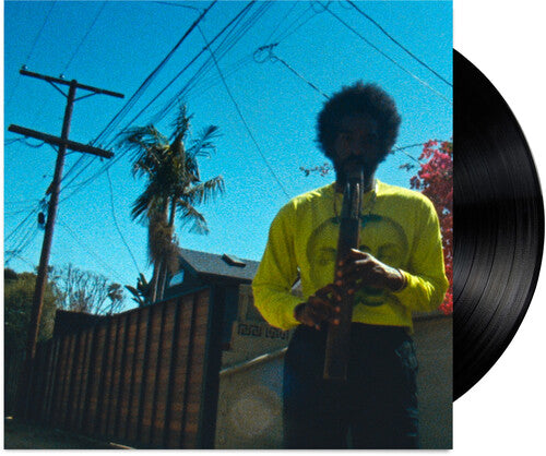 Moving Day [Vinyl]
