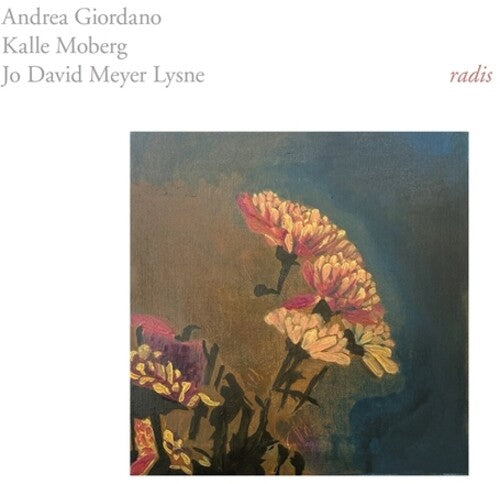 Radis [LP Vinyl]