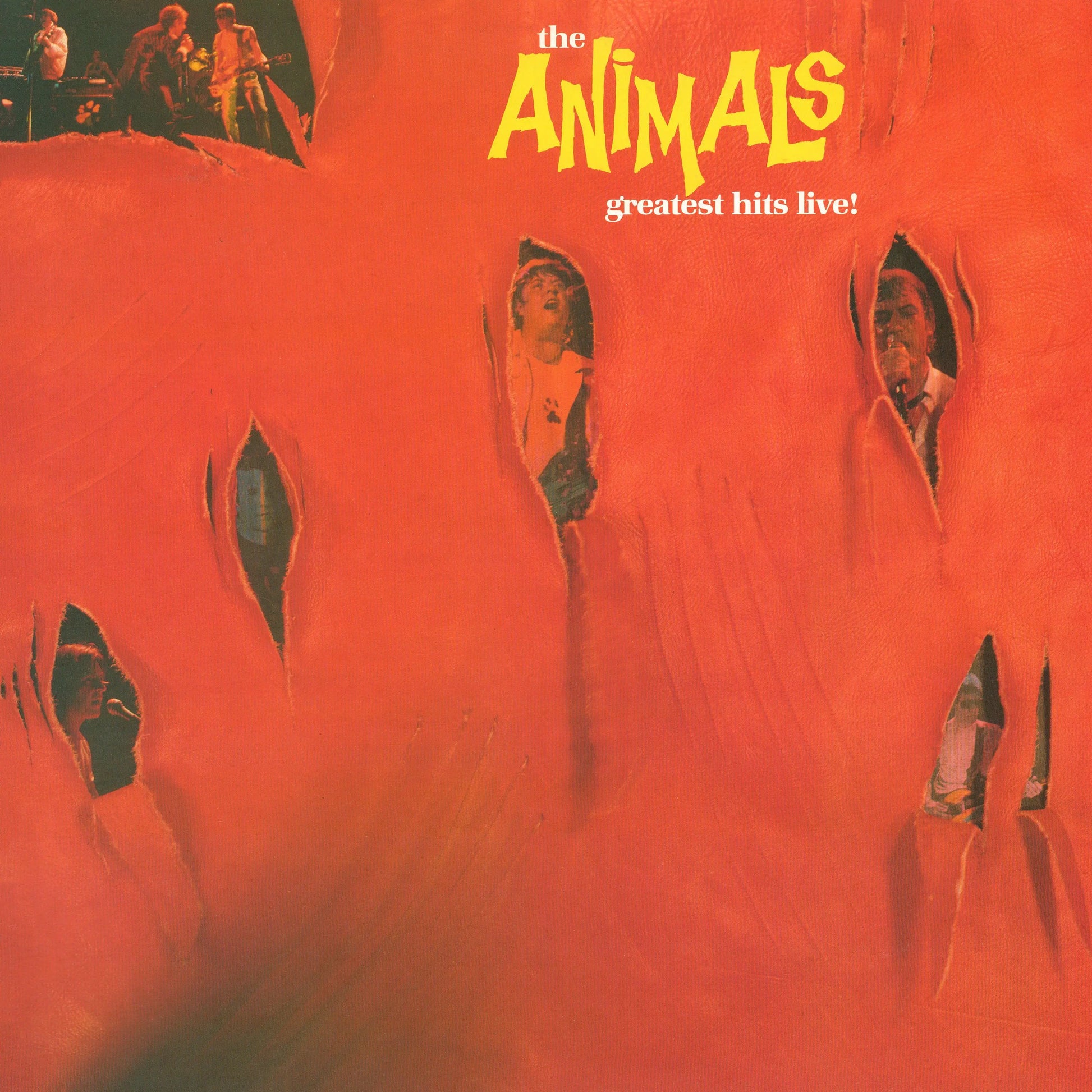 Animals - Greatest Hits Live (Blue Vinyl) [LP]