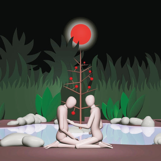 Reise der Schatten [LP]