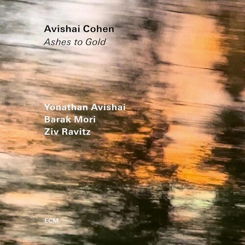 Ashes To Gold [Vinyl]