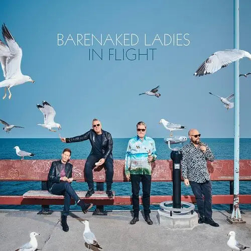 Barenaked Ladies - In Flight (Picture Disc) [Vinyl]