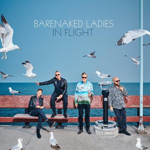 Barenaked Ladies - In Flight [Vinyl]