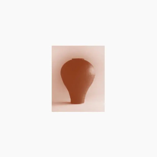 Beatriz Ferreyra - A Distracted Godc [LP]