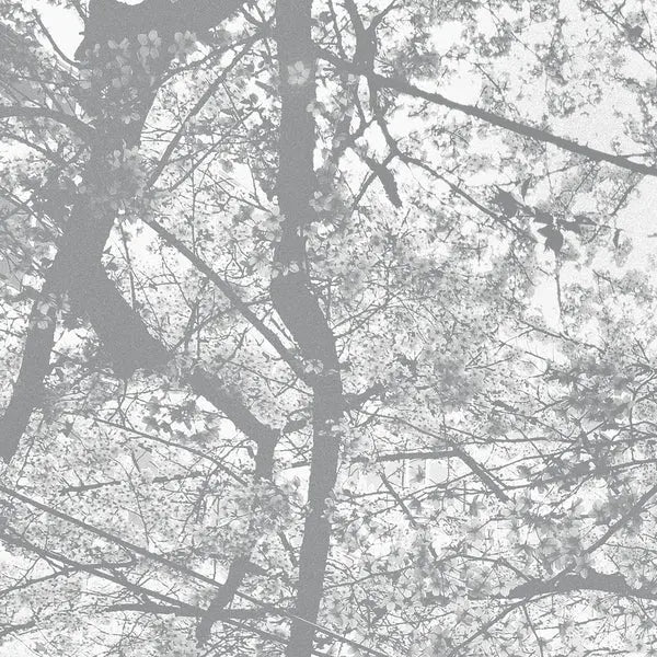 Black Rain - Obliteration Bliss [CD]