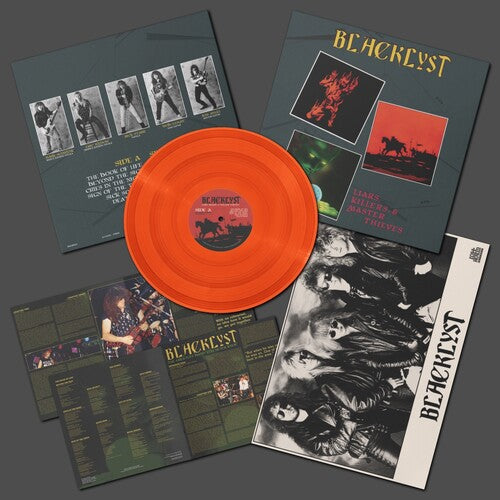 Liars Killers & Master Thieves [Vinyl]