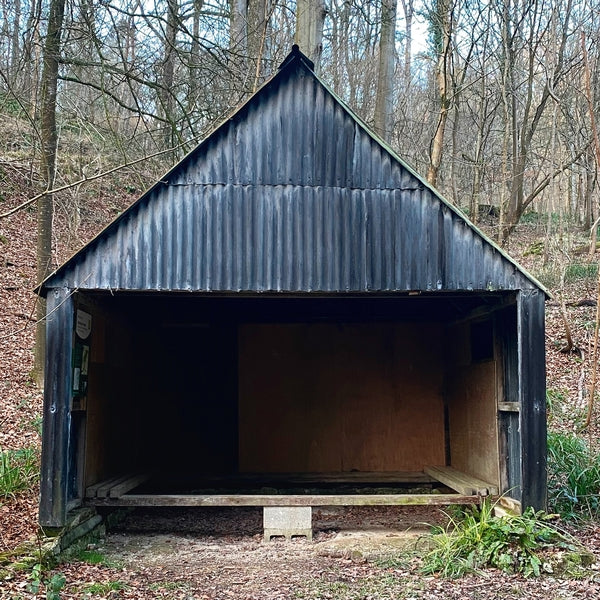 Waiting Room (Volume 2) [CD]