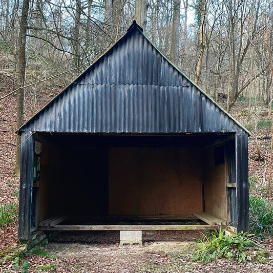 Waiting Room (Volume 2) [CD]