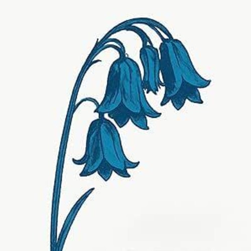 This Is the Bluebells [Blue Vinyl]