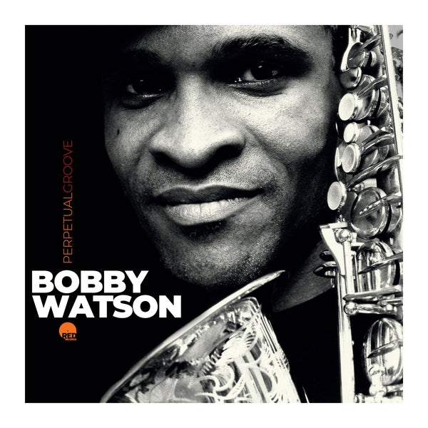 Perpetual Groove [CD]