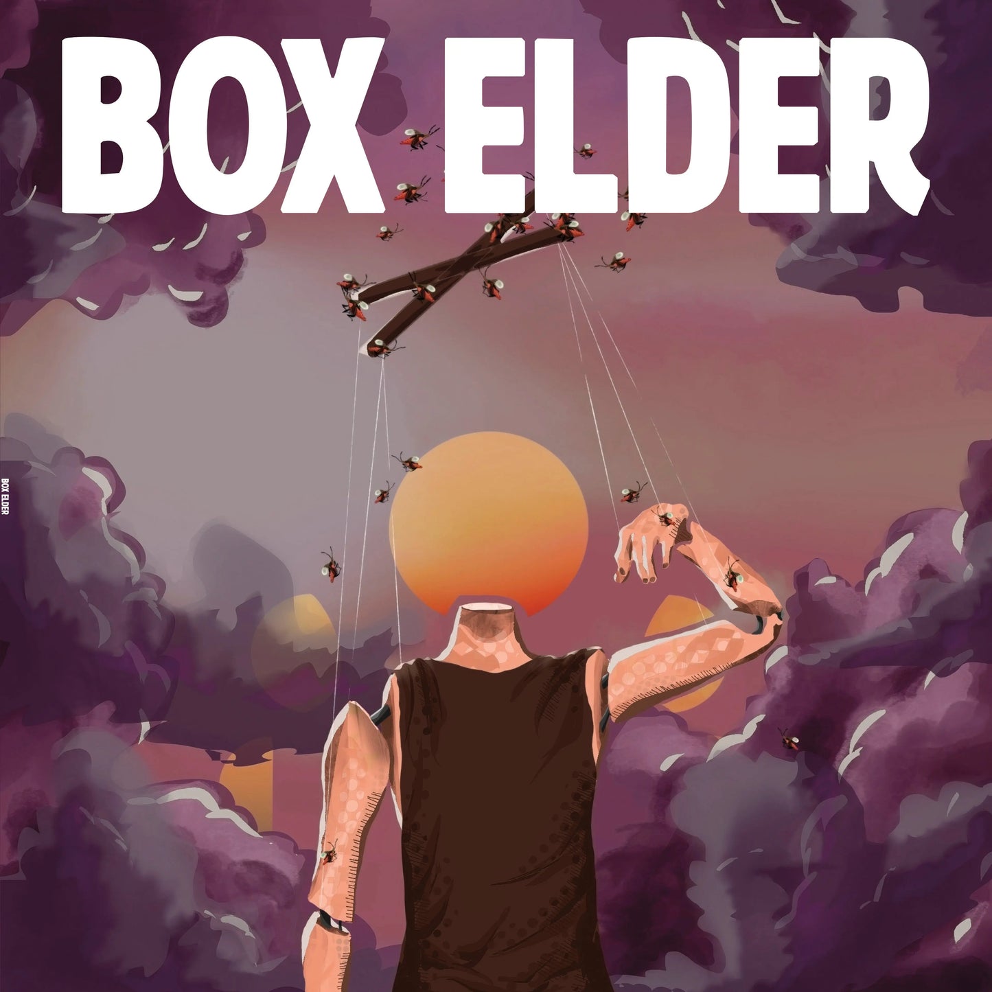 Box Elder - Box Elder [LP]