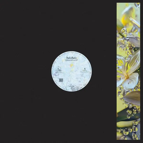 Bufobufo - Celandine [12" Vinyl]