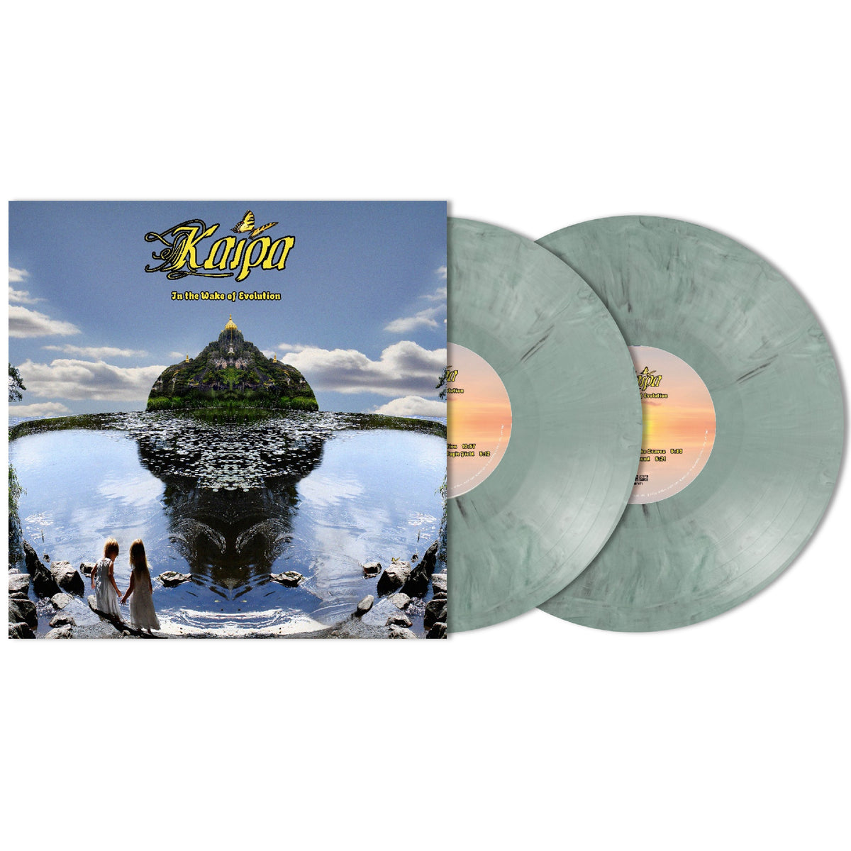 In The Wake Of Evolution [2LP Vinyl]