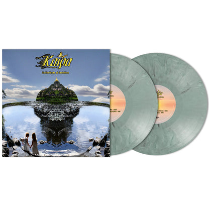 In The Wake Of Evolution [2LP Vinyl]