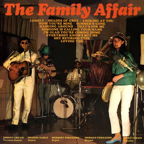 The Family Affair [LP import]