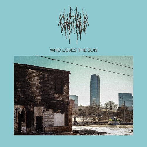 Who Loves The Sun [LP]