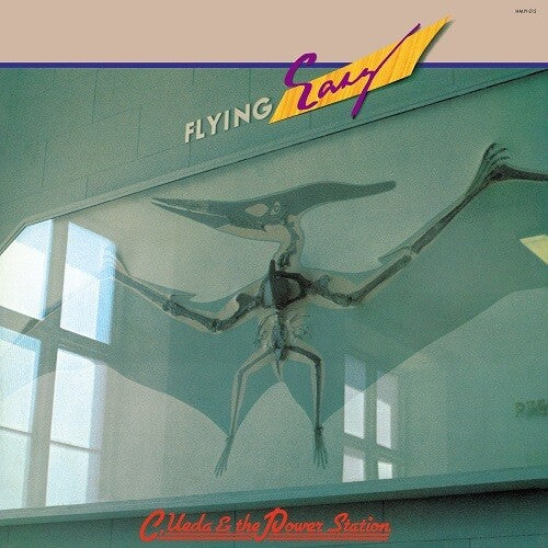 Flying Easy [Vinyl]