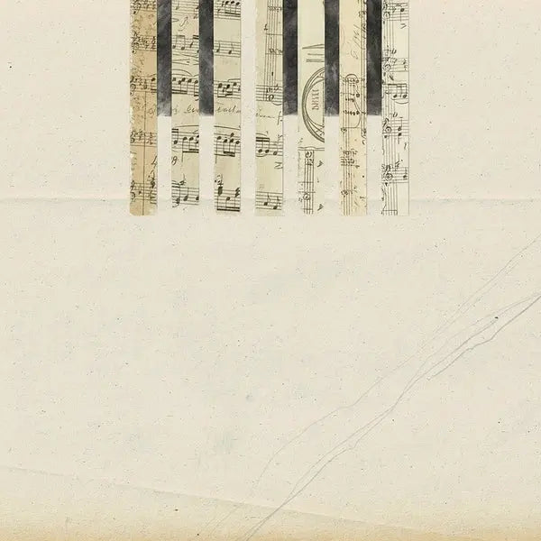 Coh & Wladimir Schall - Covers [LP]