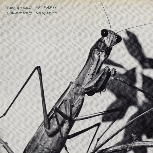 Courtney Barnett - Creature Of Habit (Indie Exclusive, Caramel Vinyl)