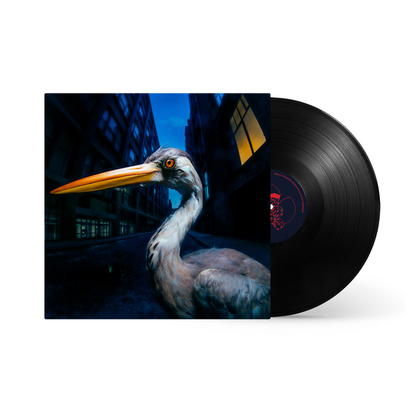 Antony Szmierek – Decoding Birdsong album artwork and packaging