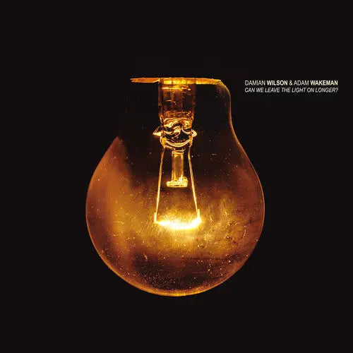 Damian Wilson - Can We Leave The Light On Longer? [CD]