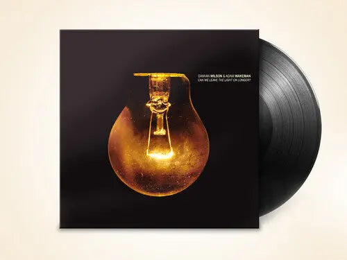 Damian Wilson - Can We Leave The Light On Longer? [Vinyl]