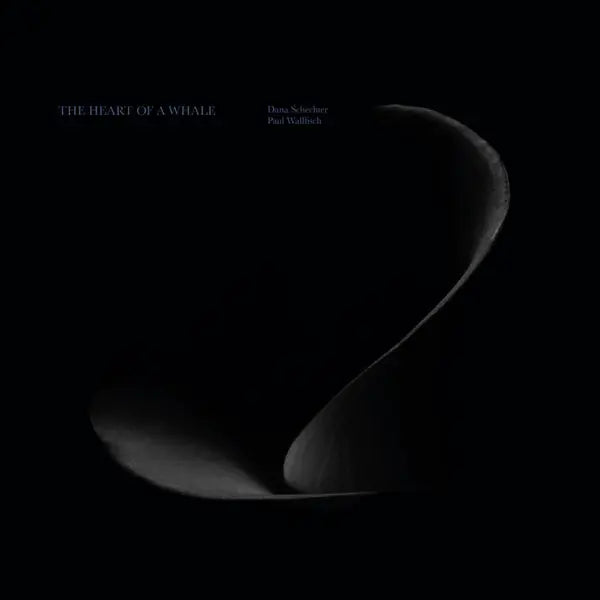 Dana Schechter & Paul Wallfisch - The Heart Of A Whale [LP]