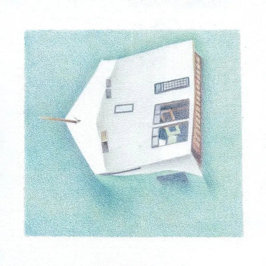 Danny Scott Lane - House Of Alice [LP]